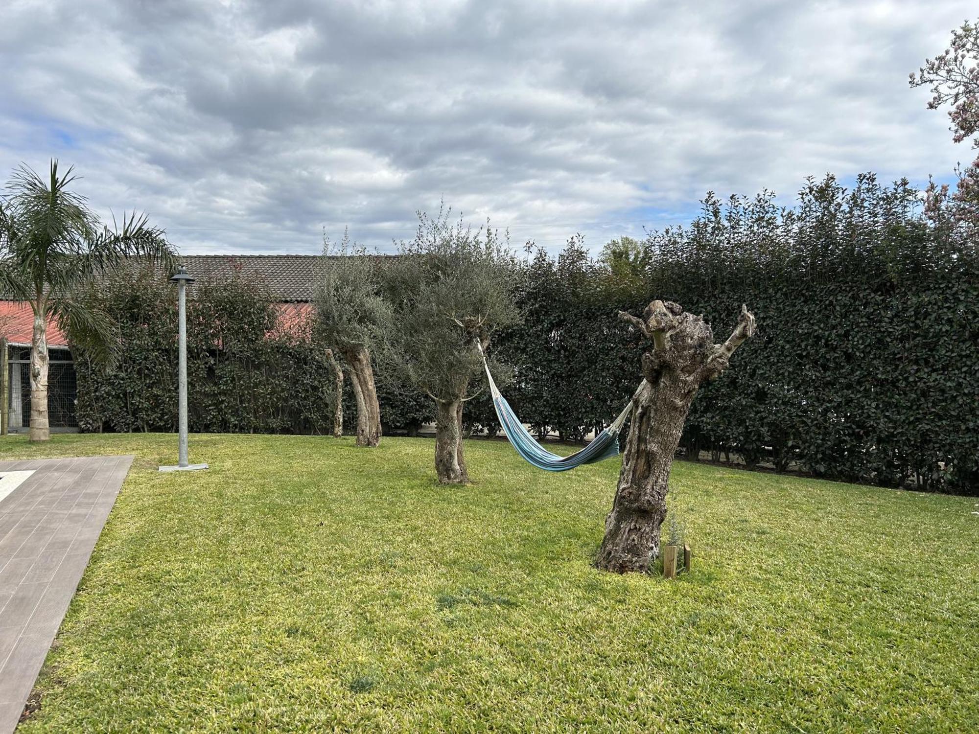 Casa Da Padroa Apartman Braga Kültér fotó